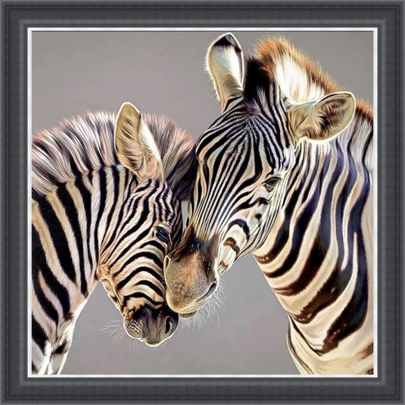 Two Zebras Embracing